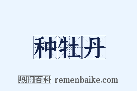 种牡丹是什么意思的图片